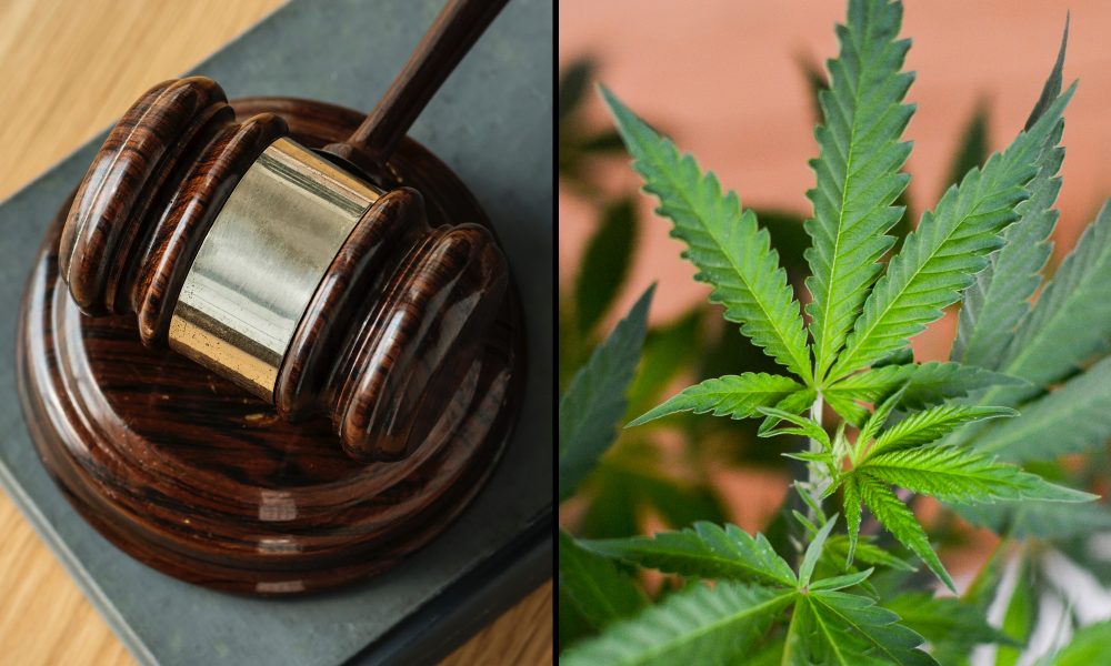 Florida Supreme Court Gives State Attorney General Two More Weeks To File Briefs In Marijuana Legalization Ballot Challenge