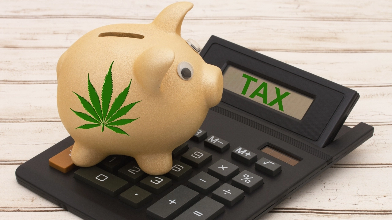 more states reduce 280e tax burden on cannabis industry