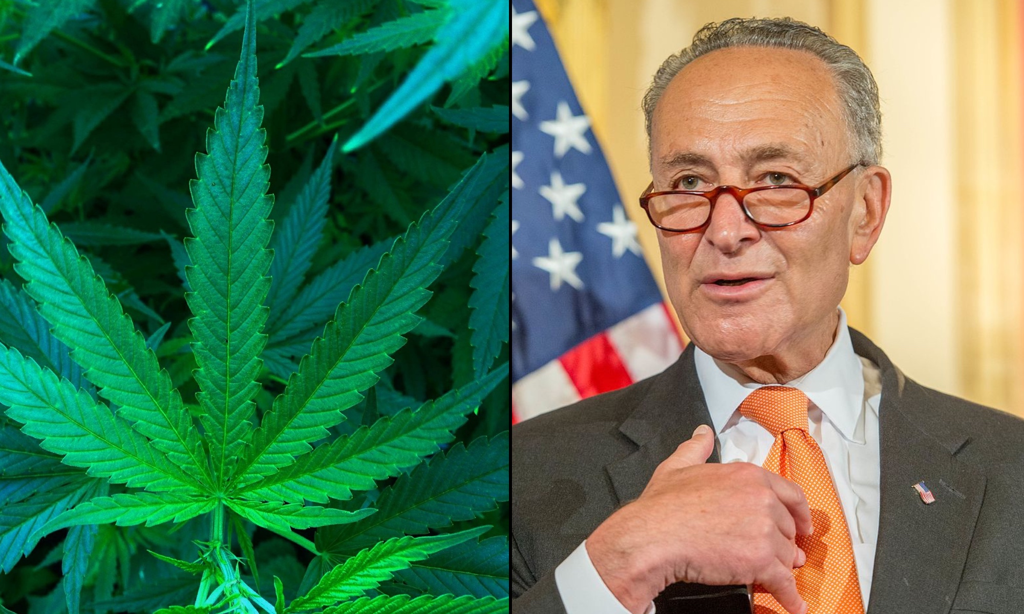 schumer renews push for safeguarding marijuana banking but stresses need for bipartisan support